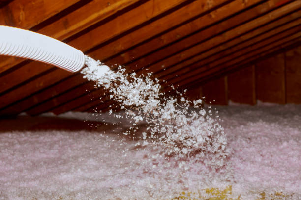 Best Insulation Materials and Products in Woodruff, SC
