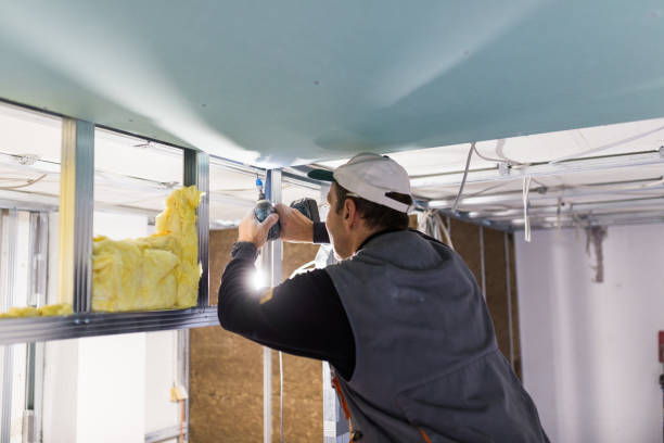 Best Insulation Maintenance and Repair in Woodruff, SC